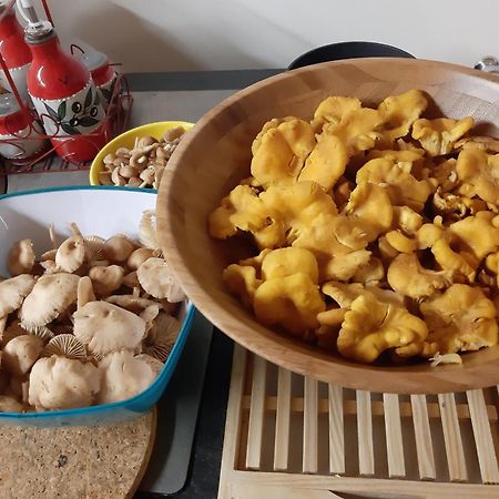 Gite Le Petit Nice Pradelles Zewnętrze zdjęcie