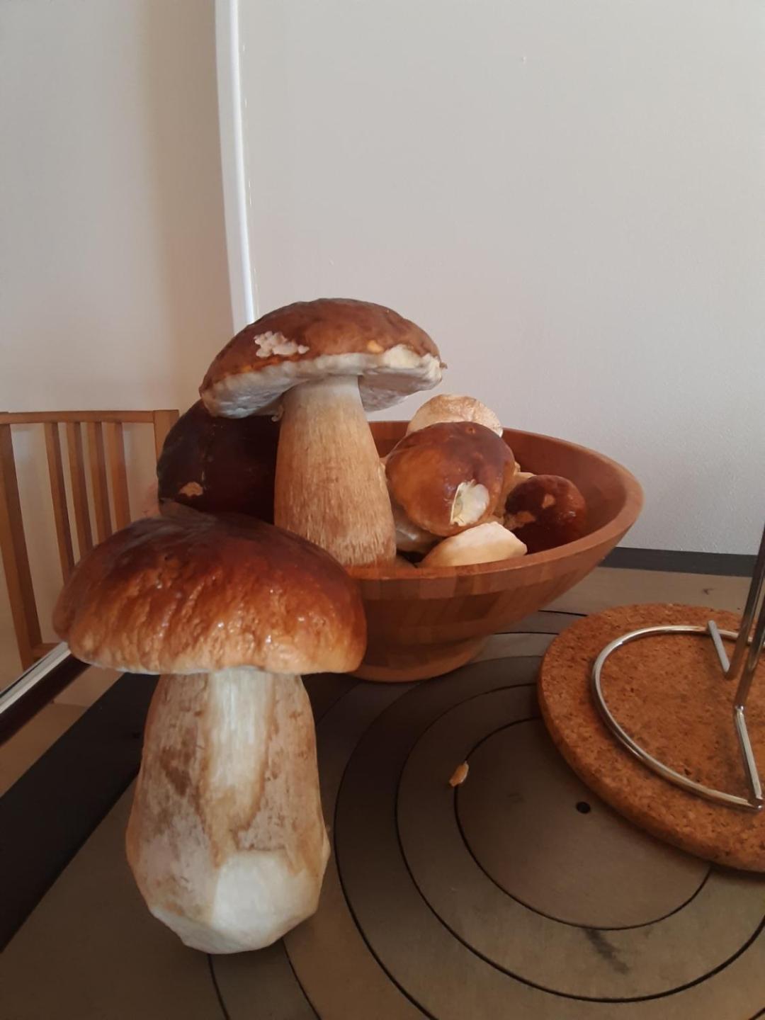 Gite Le Petit Nice Pradelles Zewnętrze zdjęcie